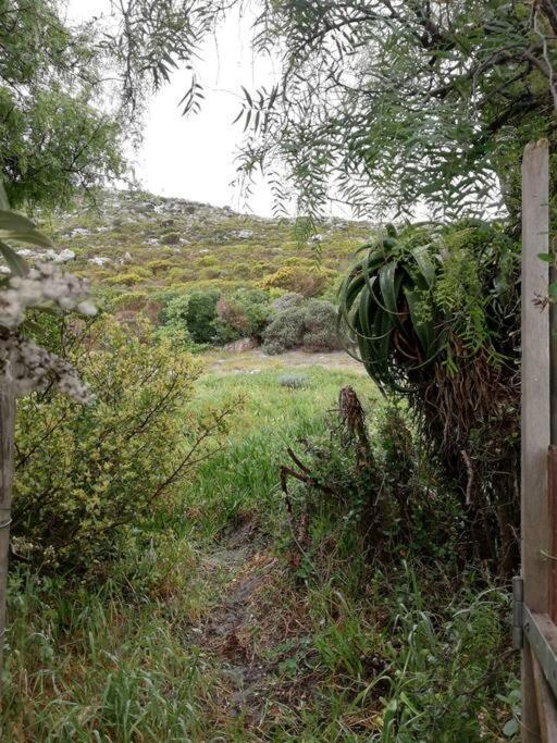 Serene Hide-Away With Ocean Views. Cape Town Exterior foto