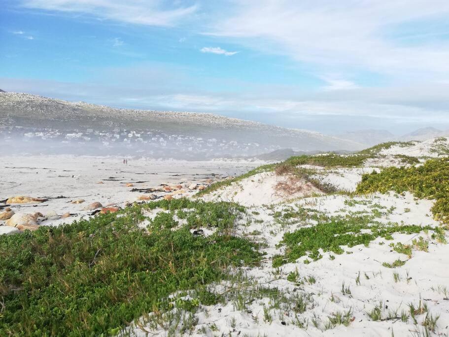 Serene Hide-Away With Ocean Views. Cape Town Exterior foto