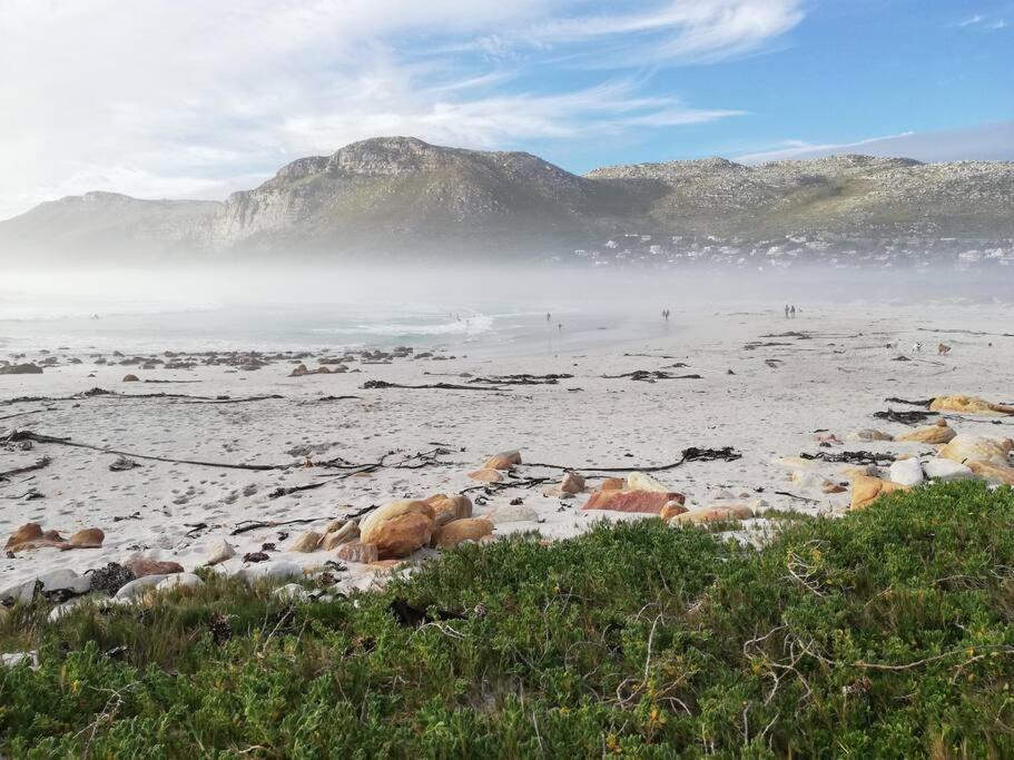 Serene Hide-Away With Ocean Views. Cape Town Exterior foto