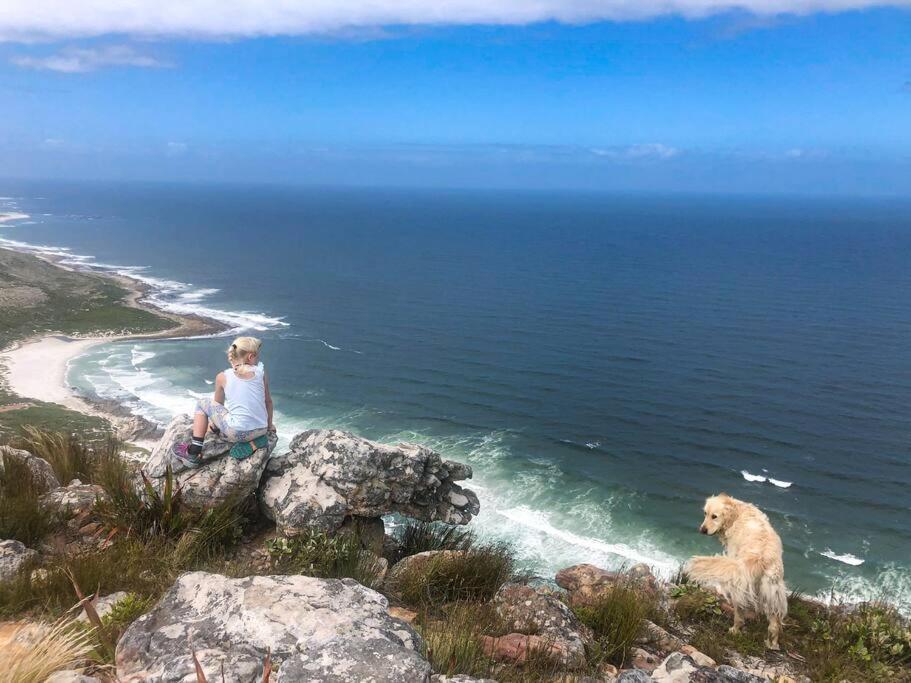Serene Hide-Away With Ocean Views. Cape Town Exterior foto